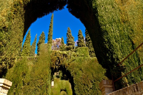 The Alhambra - Granada, Spain