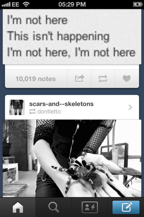 madammacabreandhermarvellousmind:  These two posts were right next to each other in my dash….I think that just about days everything ;)