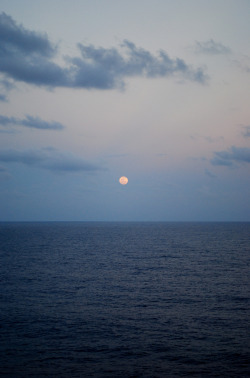 land-city:  ''Caribbean Moonrise'' by Evan