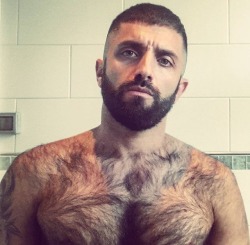 beardburnme:  escapedanimal Instagram 