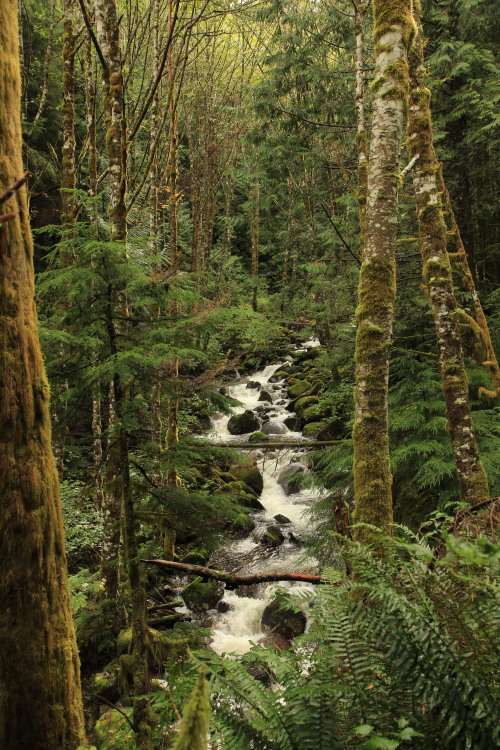 burningmine:Granite Lakes Trail, September 2019