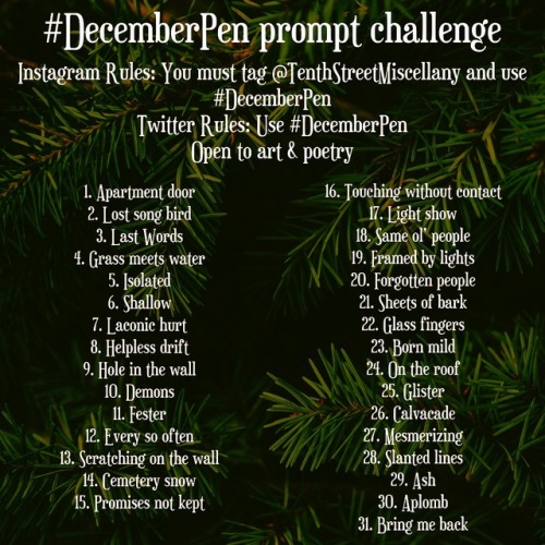 pattimouse: tenthstreetmisc: Our DecemberPen challenge! We have prompts for each day for writing and