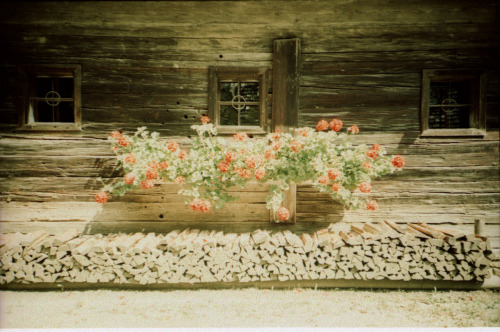 Untitled by Irina Wernbacher