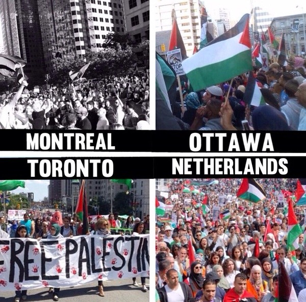 tsamthepoet:  The world stands with Palestine. 