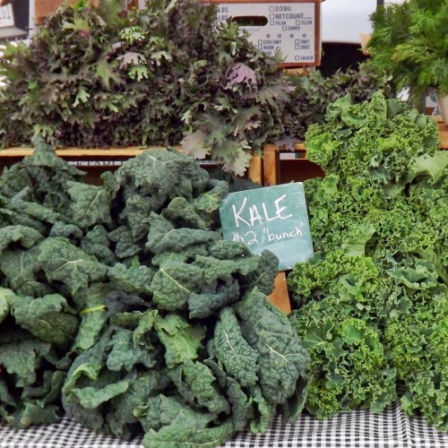 Kale, $2 a Bunch, Santa Monica Wednesday Market, 2013.