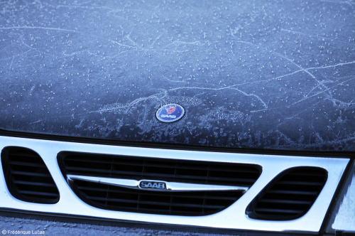 And I found a very, very cold Saab in the driveway this morning. I love the patterns the ice made on
