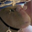 capivara-artes