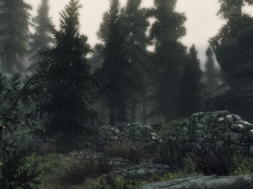 tumblr photo dudebronews 1