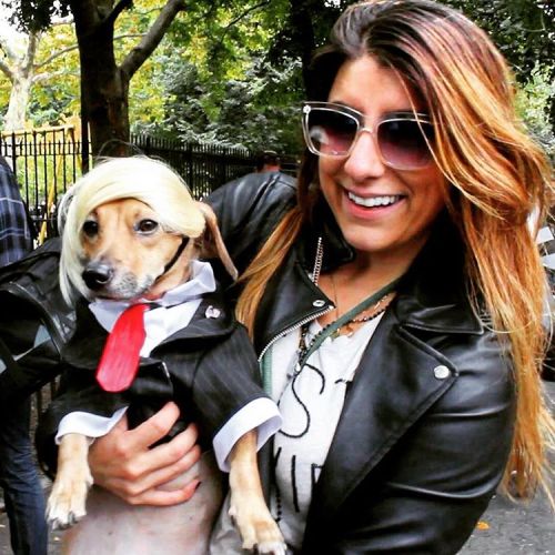 The only #donaldtrump I would ever vote for. #dog #costume #Halloween #halloweendogparade #tompkinss
