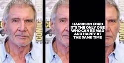 Jokesandstuff:  Harrison Ford Is A Very Talented Actor 