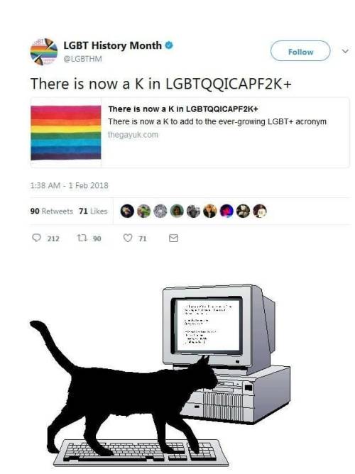 professorevilbadpaingiver: emma-velocirapity: heckin-heck-im-bi: kohios: geminemi: your-homophobia-i