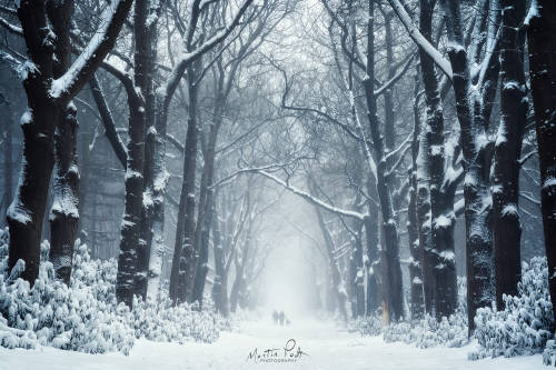 from500px:  Walking the dog by Martin Podt