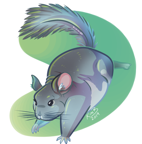 virgil the chinchillaInstagram I Facebook I Deviantart l TwitterCommissions are open!