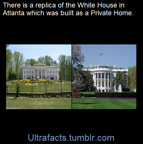 ultrafacts:    Fred Milani, a property developer, built an amazing White House replica