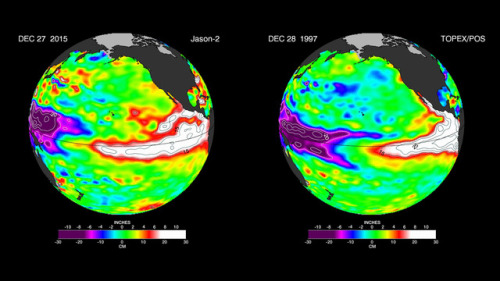 Super El Niño and climate changeThese two images compare sea surface heights during the two most rec