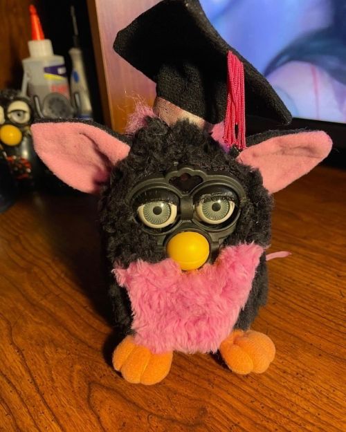 Custom Pink Graduation Furby tested and working is still up for adoption on my Etsy TheFurbyQueen fo