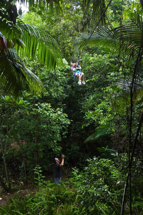 stormy-tropics: turtle-tides: oceaniatropics: ‘forest flying’ zipline at Finch-Hatton Gorge, Que
