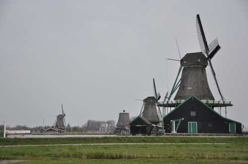 Day 6 Zaanse Schans WindmillsAmsterdamUtrechtWe started out the morning incredibly early at aro