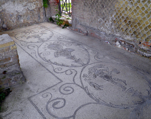 romegreeceart:Mosaic tile floor from the Baths of Venus, Child with Hare and probably the Emperor Ha