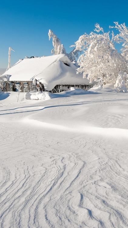 weza: Beautiful winter   ❤❀❤