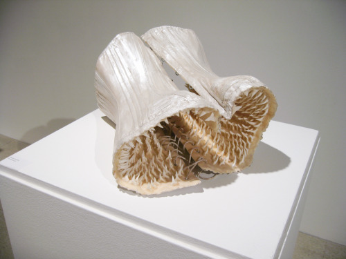 myampgoesto11:Sarah Garzoni: Breaching, 201019th century corset, 1000 sharks teeth, plaster, wax