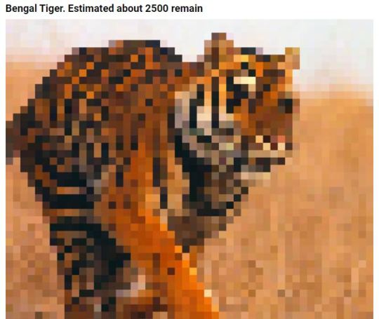 These Pics Are Composed Of As Many Pixels As There Are Animals Still Alive In These Species