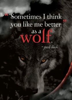 mermaid-lorelei:  angel-fallen-not-broken:  ~ Go For The Wolf. He Eats You Better ~  Little red and her big bad wolf.  ❤️ 