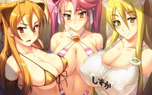 unlimited-sexxy-works:  HOTD Girls Download my sexy Highschool of the Dead hentai collection here: http://adf.ly/plba0