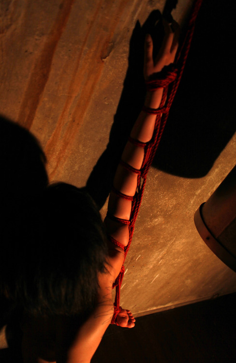 milla-reika:  Rope: Milla Reika Model: Nancy Photography:Koh Ishifune  [Fossil of Pain] 