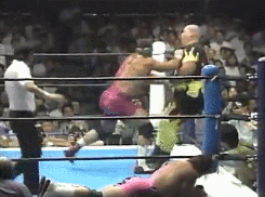 wrestlingchampions:  Champion vs. Champion: The Steiner Brothers (WCW World Tag Team) d. Big, Bad and Dangerous (IWGP Tag Team) to  win the IWGP Tag Team Championship - NJPW Masters of Wrestling 1992 