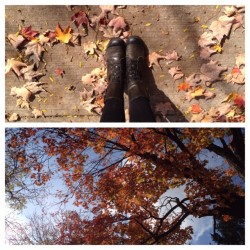 therealkatiewest:  Perfect autumn day.