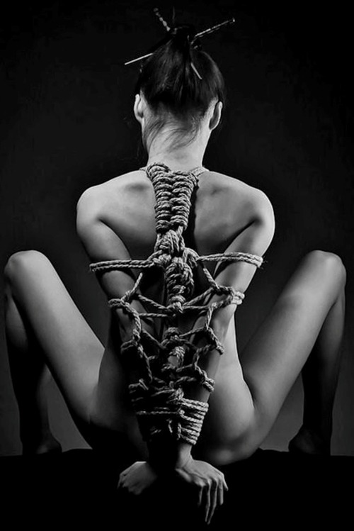 Ballerina Bondage Fairies