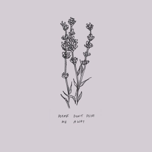 admlynch:7.24.17