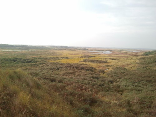 The washover on the island of Vlieland. Washovers occur when storm waves wash over low lying section