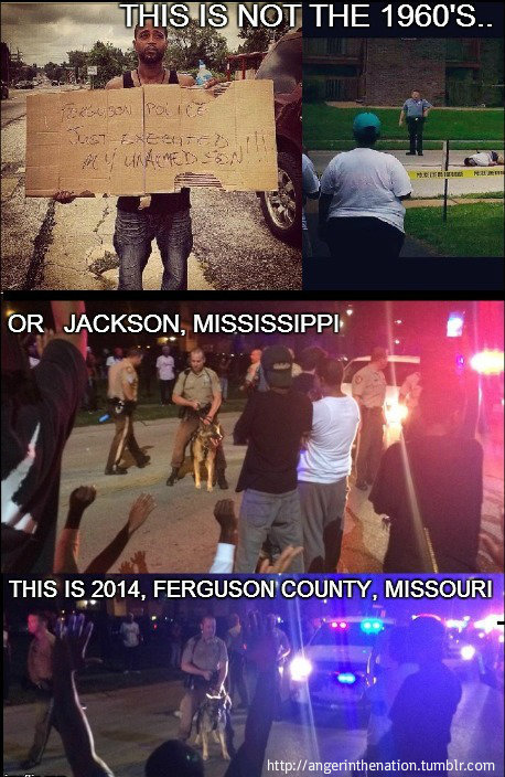 angerinthenation:  “Those who don’t know history are destined to repeat it.”-Edmund Burke The list of unarmed black people (and people of color) who were murdered by police continues to grow. Very few are convicted.Here is a short list of