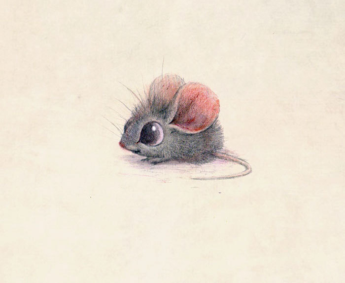 culturenlifestyle:Gentle and Heartwarming Animal Illustrations By Sydney Hanson Artist