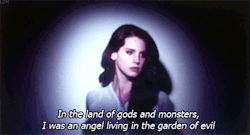 Dark Paradise