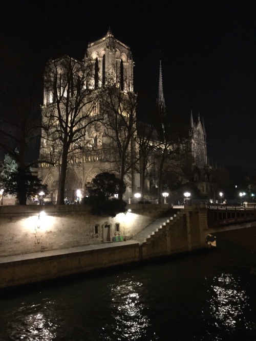Cathedral Notre Dame, Paris 2016
