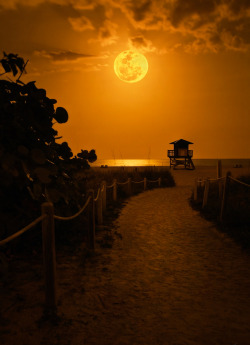 coiour-my-world:Full Moon over Singer Island Beach Florida by Justin Kelefas