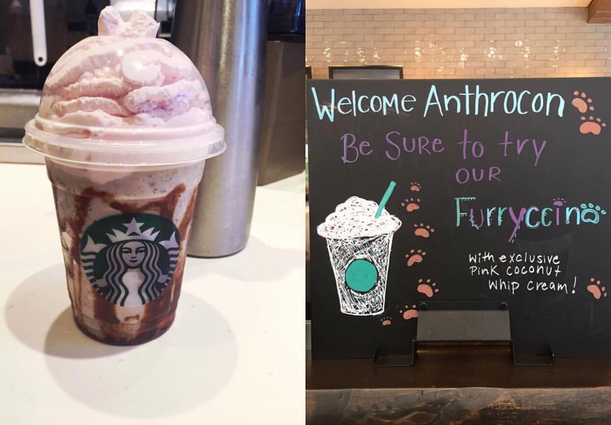 aceofheartsfox:Furryccino tho. I love Anthrocon &lt;3omg I wanna try one xD
