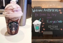 aceofheartsfox:Furryccino tho. I love Anthrocon