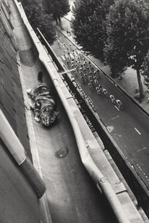 Marie Babey (French, Paris, France) - Allez Virgile!, Tour Cycliste du Canal Paris, 1989  Photograph