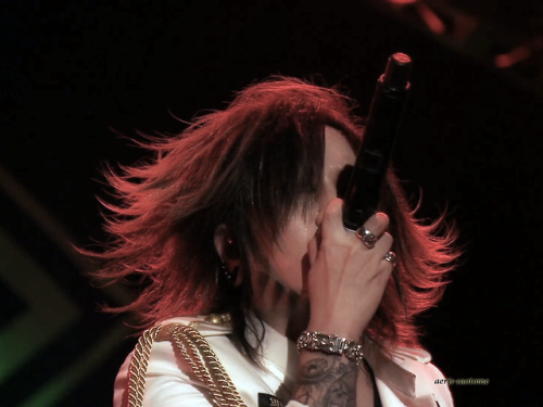 GazettE’s 15th Anniversary Live [NINTH Album]Please do not remove my name from the screen