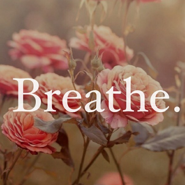 Dreams In Thyme