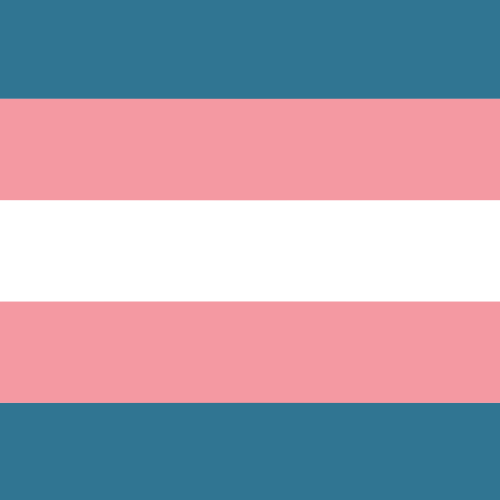 aroaesflags: Trans and nonbinary nebularomantic combos