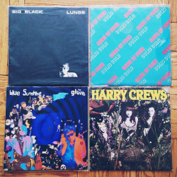 lostpropinfo:  Recent vinyl purchases, mostly