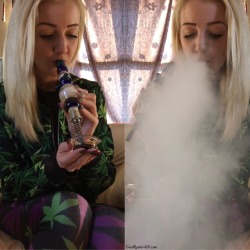 coralreefer420:  Collecting nectar with my