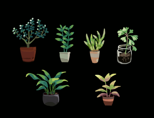 tomscholes:  happydorid:  painting potted plants  In absolute love with these … going to have to paint some plants soon :D 