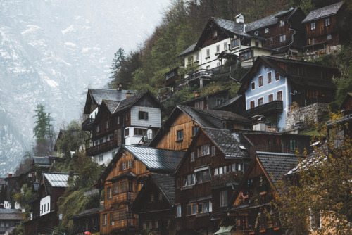 freelanderadventures: Details. Photo by Federico De Angelis(Please don’t remove the credits)
