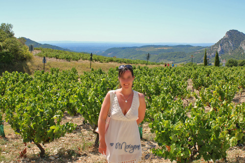 Boob flash in a French vineyard
